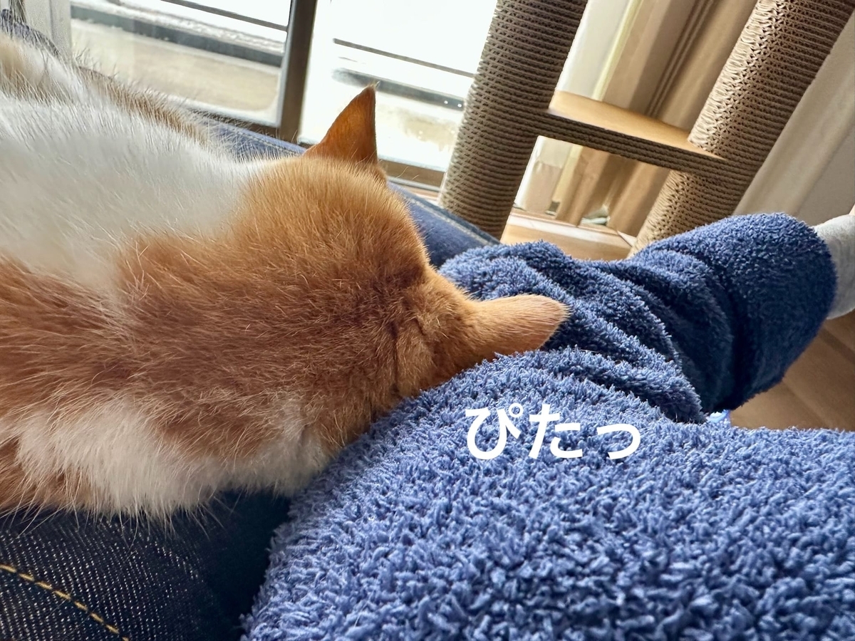 腕枕るるちゃん