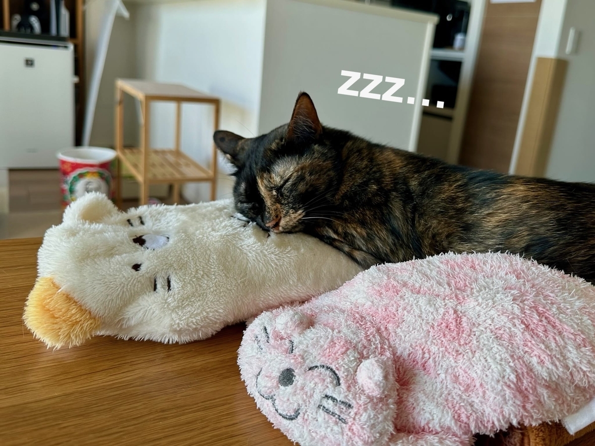 湯たんぽとるるもな2