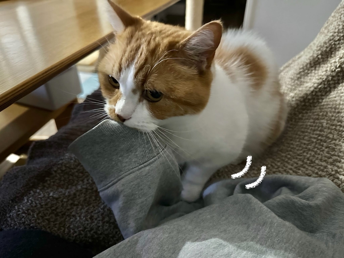 るるちゃんのふみふみ