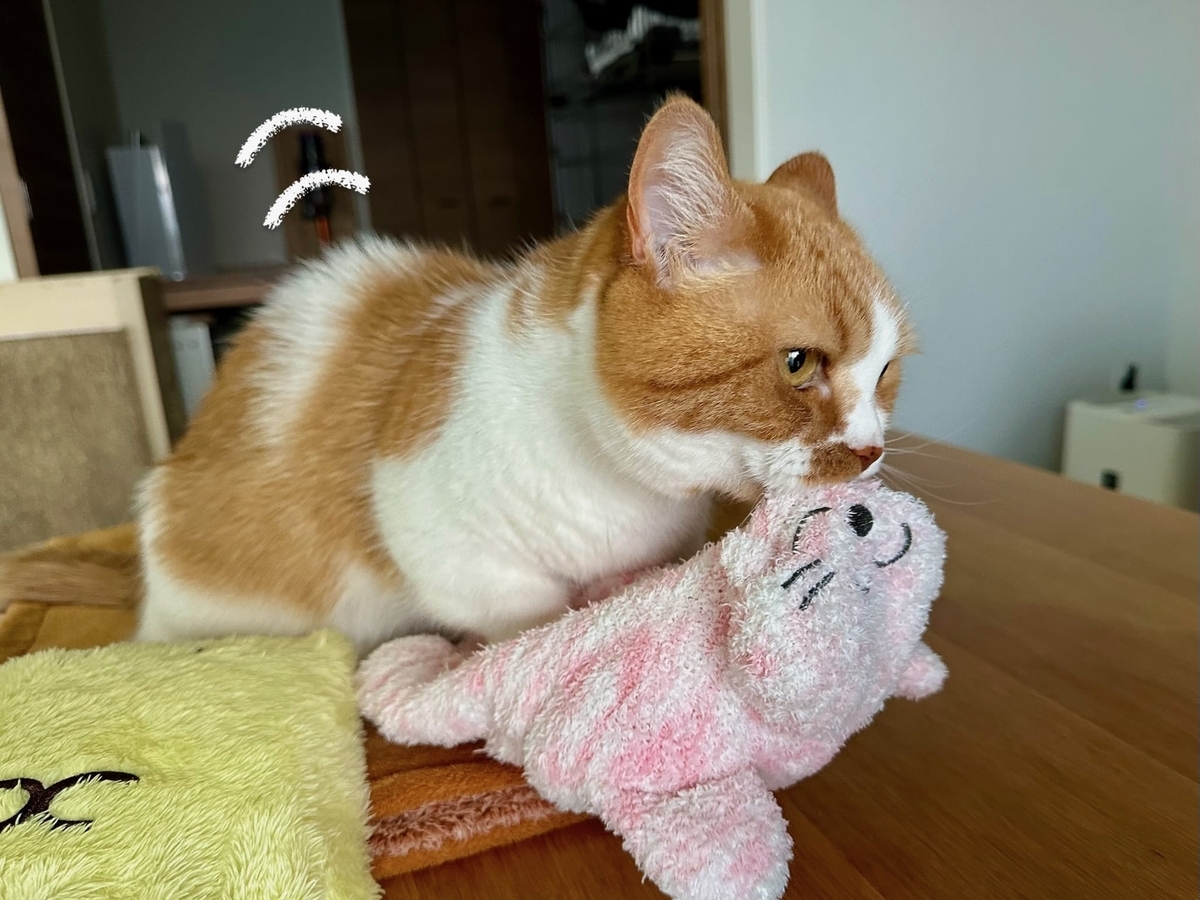 るるちゃんのふみふみ