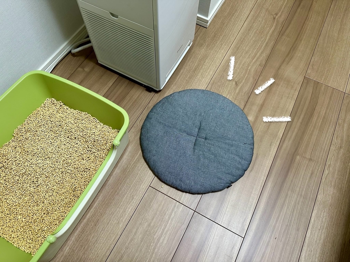 床に落とされたクッション