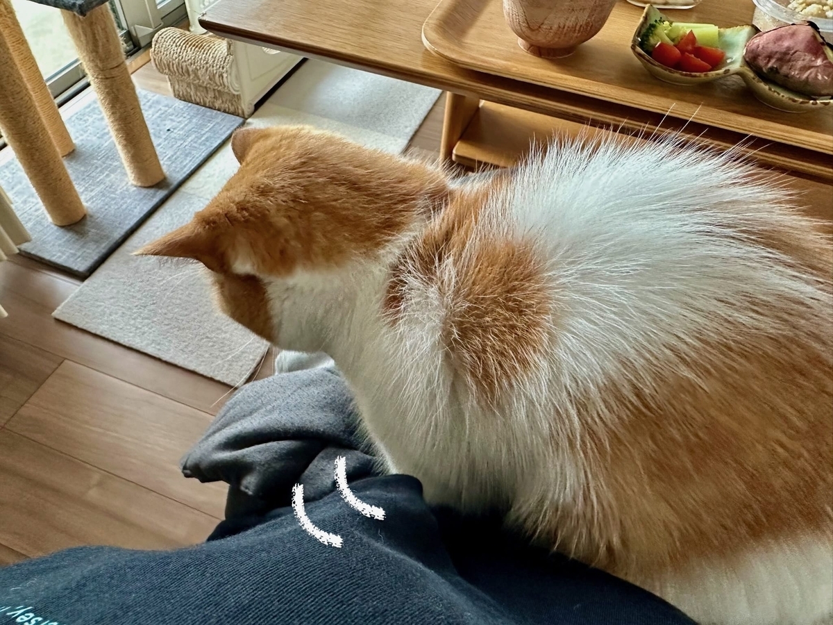 朝のふみふみ1