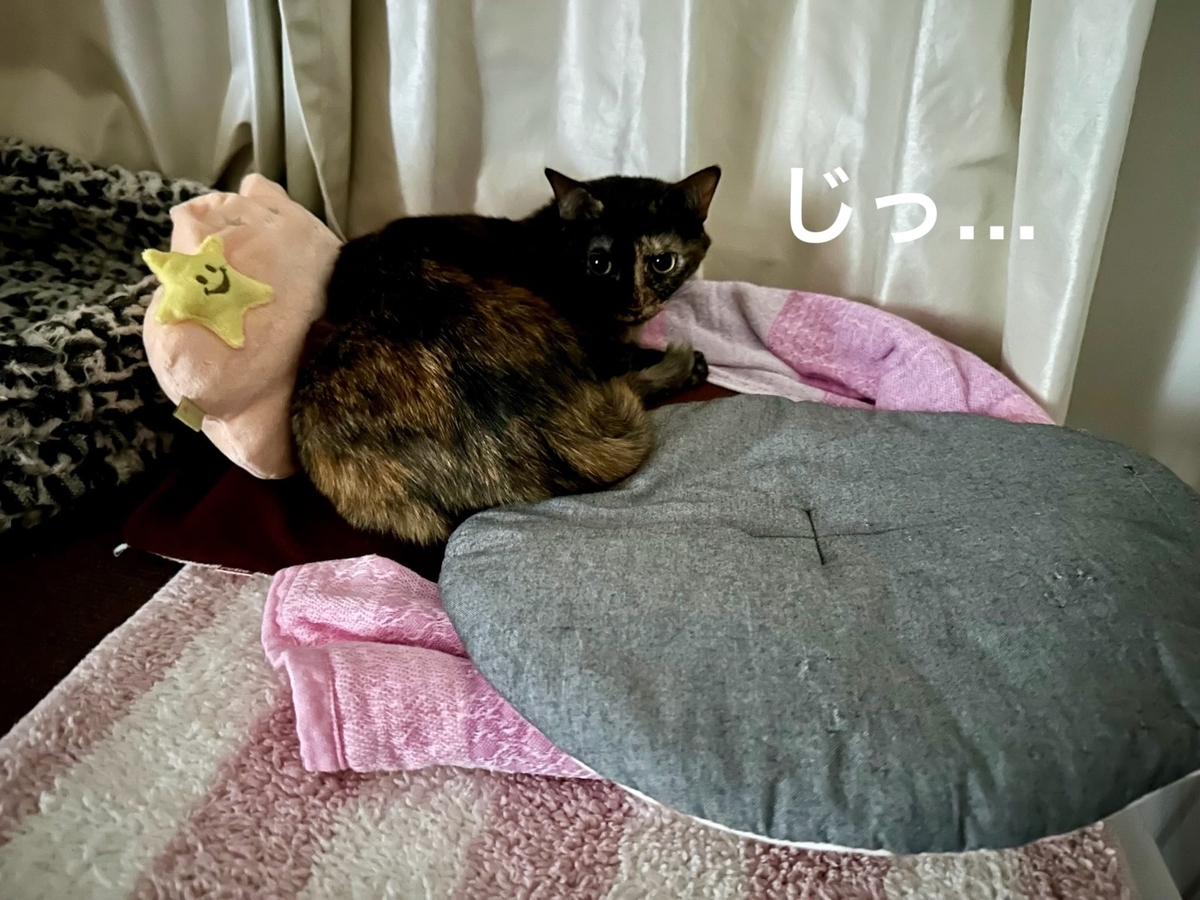 運び屋もなちゃん2