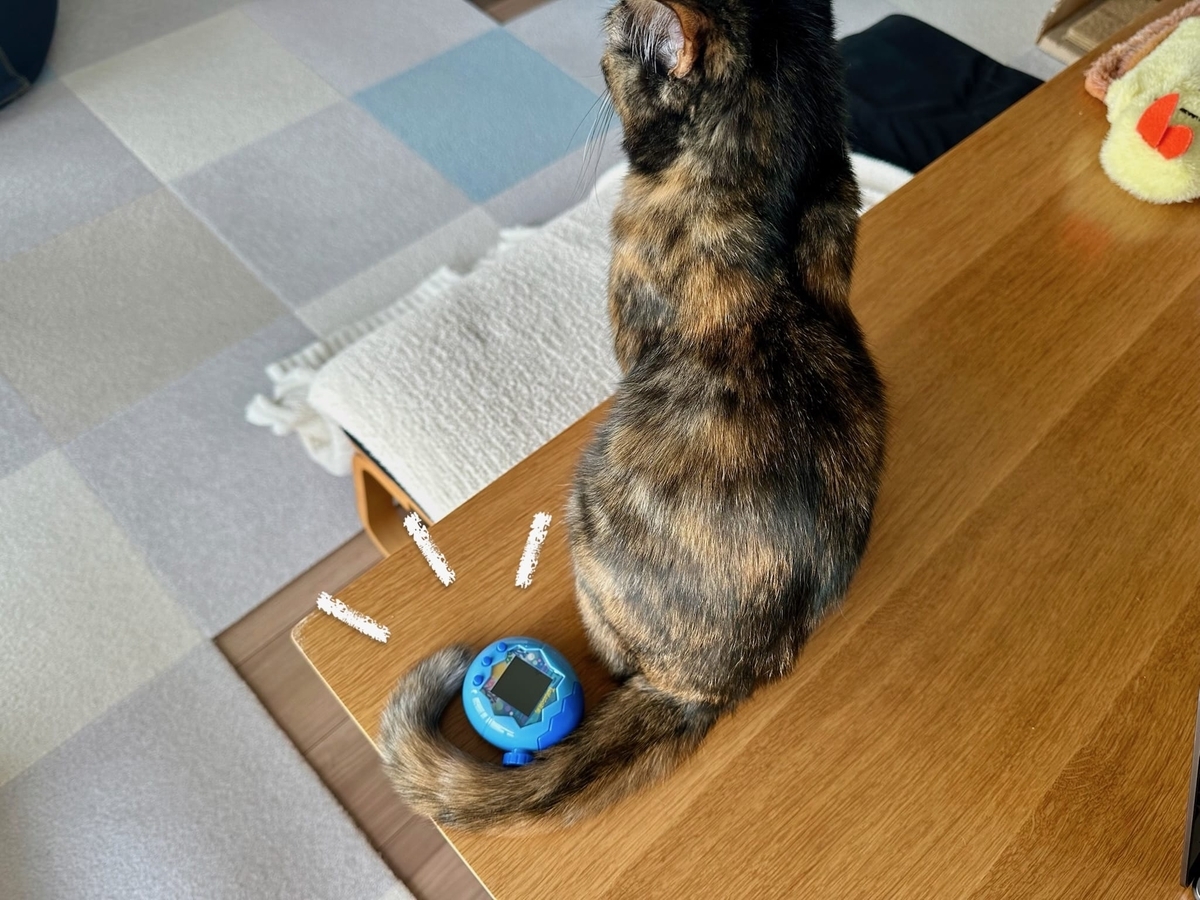 たまごっちともなちゃん1