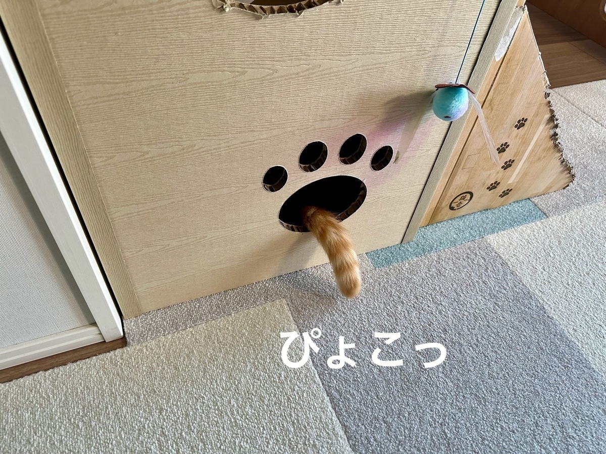 ふわふわしっぽ1
