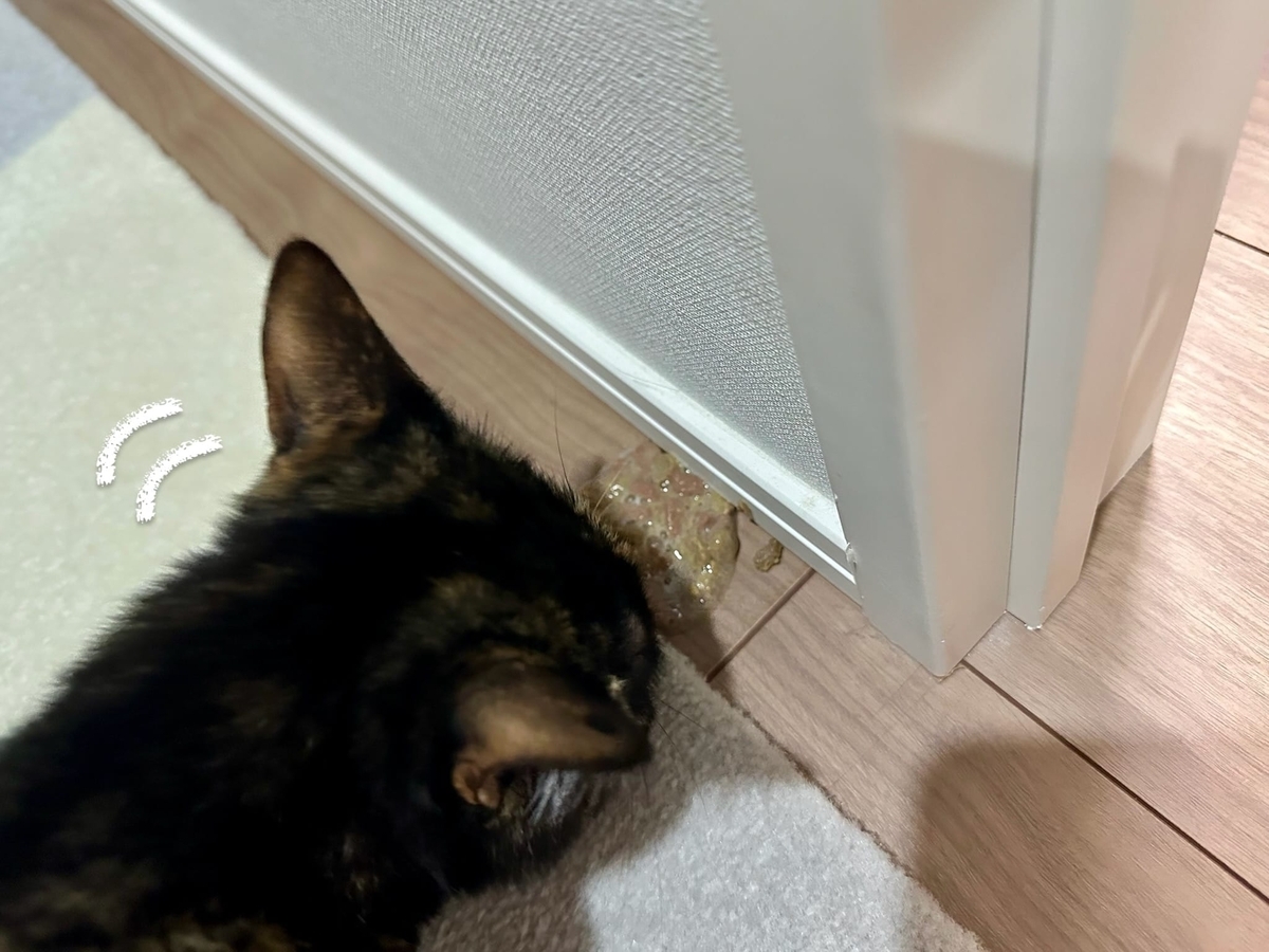 もなちゃんのご飯吐き戻し1