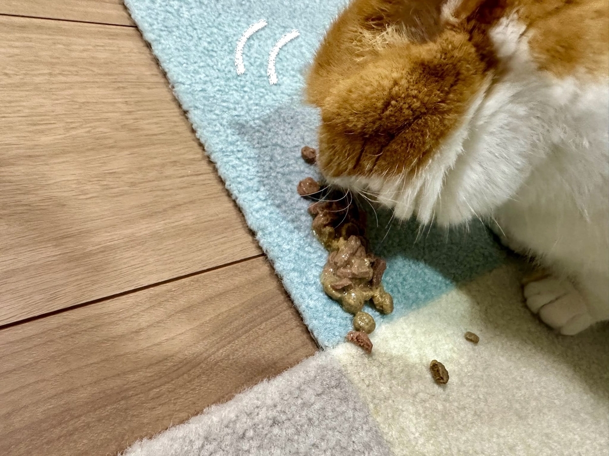 もなちゃんのご飯吐き戻し2