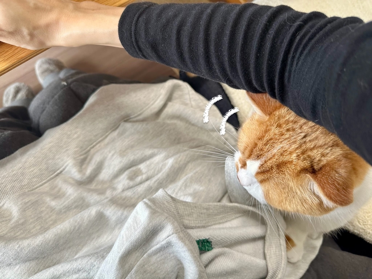 ふみふみるるちゃん1