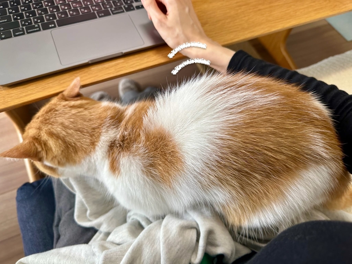 ふみふみるるちゃん3