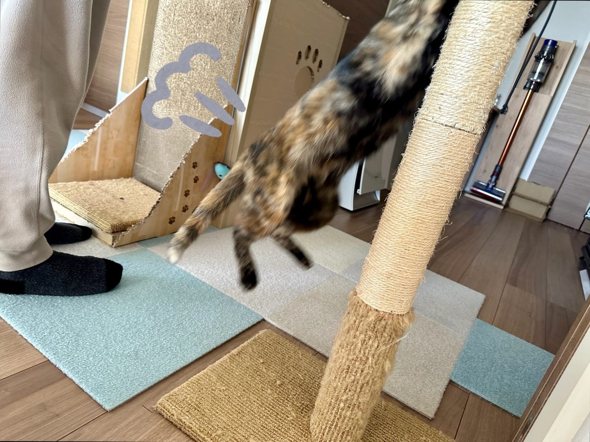 おもちゃタイムのもなちゃん3