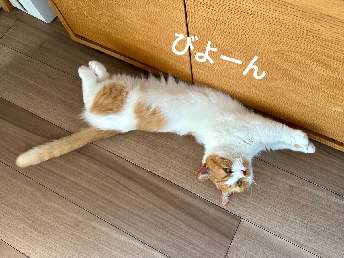 ずんどうるるちゃん1