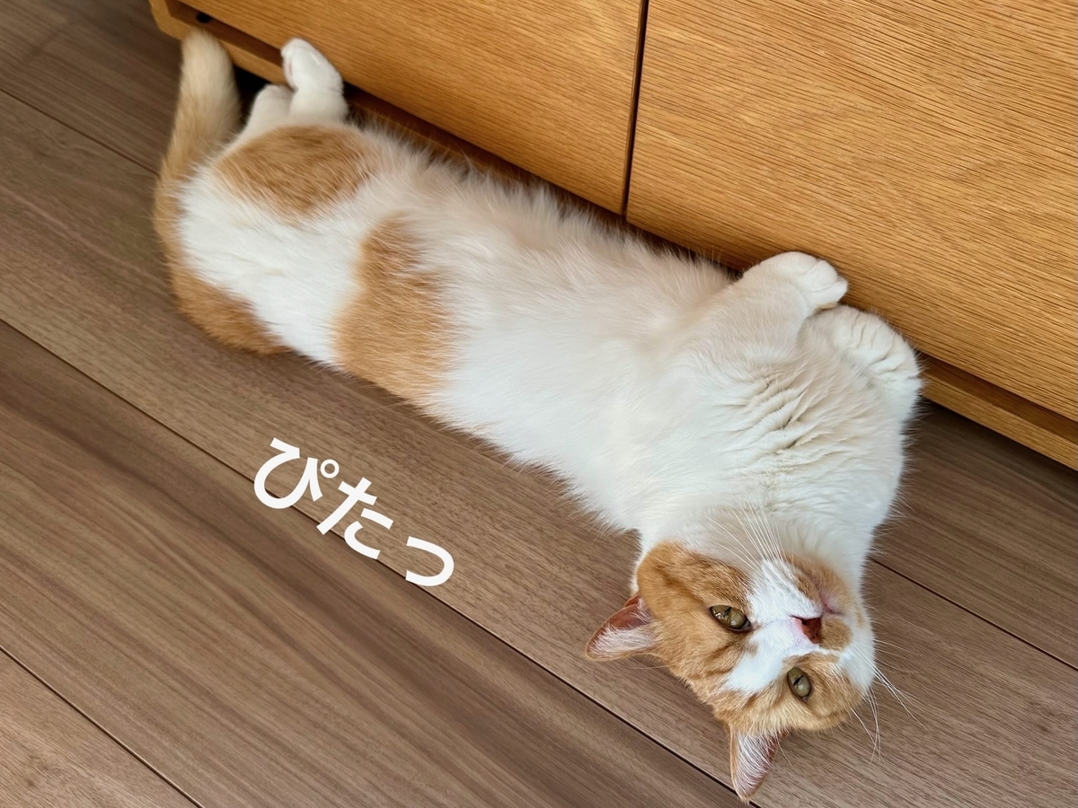 ずんどうるるちゃん2