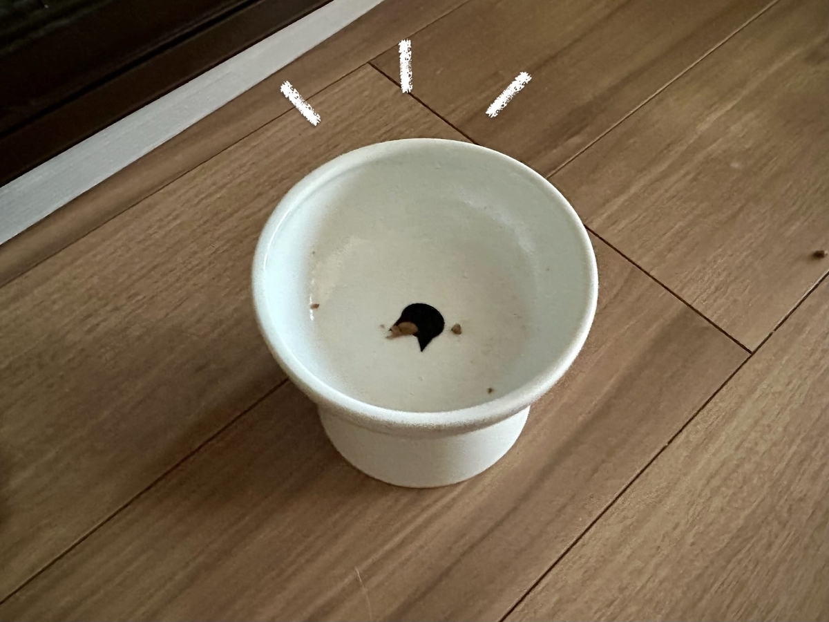 ほぼ完食