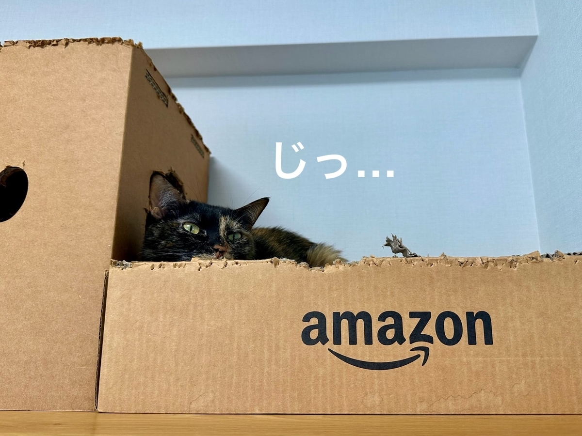 見守るもなちゃん
