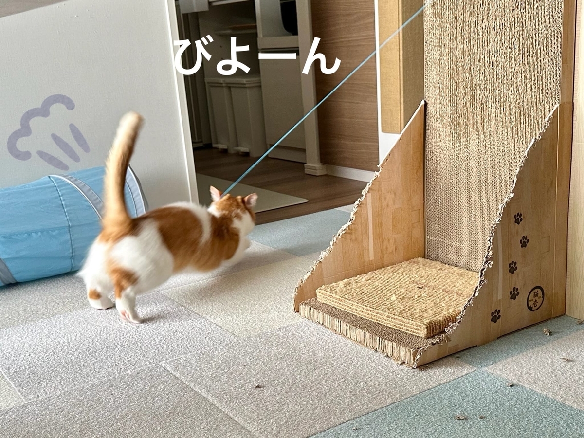 元気に遊ぶるるちゃん4