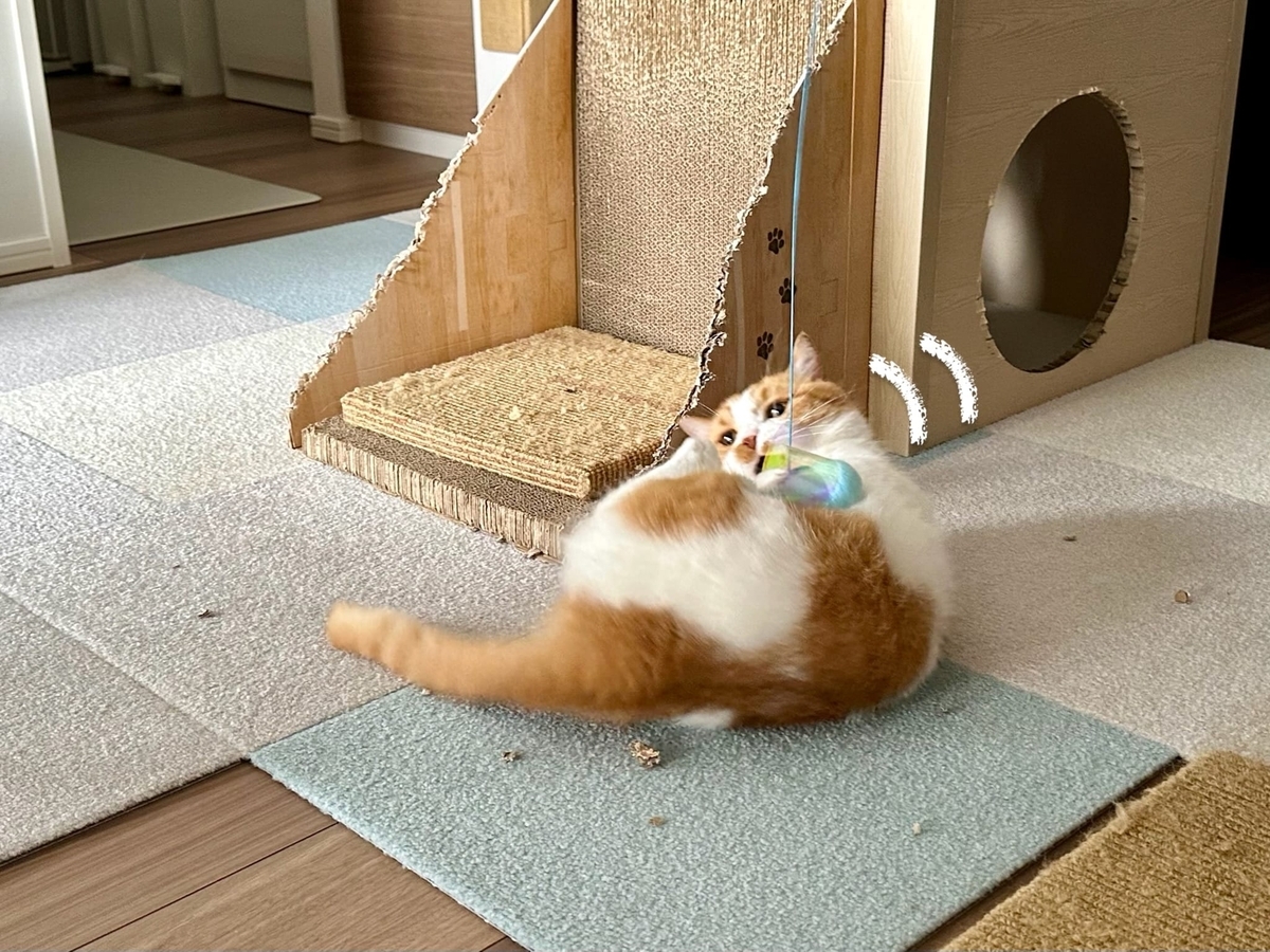 元気に遊ぶるるちゃん3