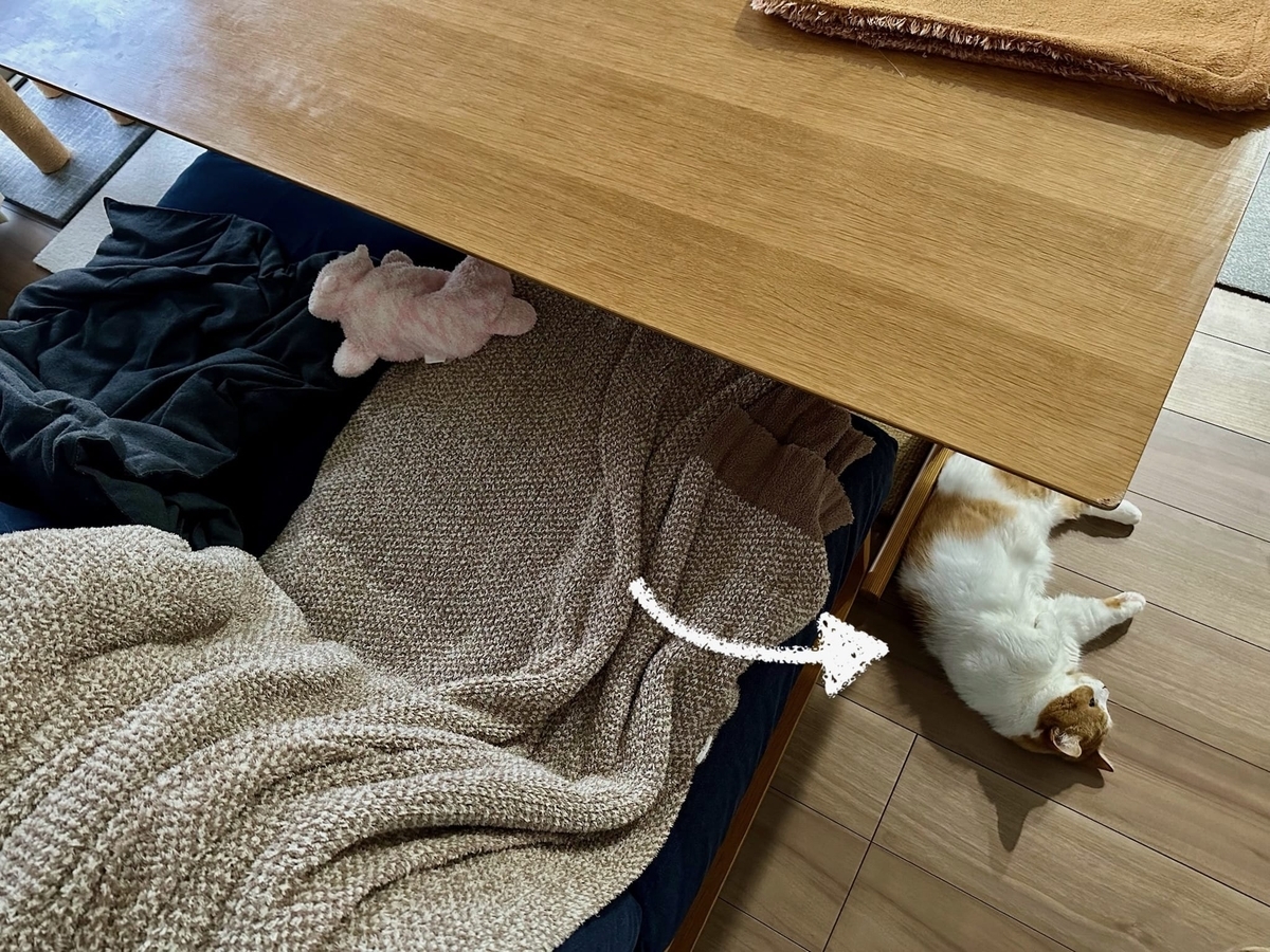 るるちゃんの寝床2