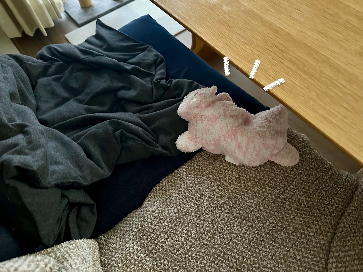 るるちゃんの寝床1