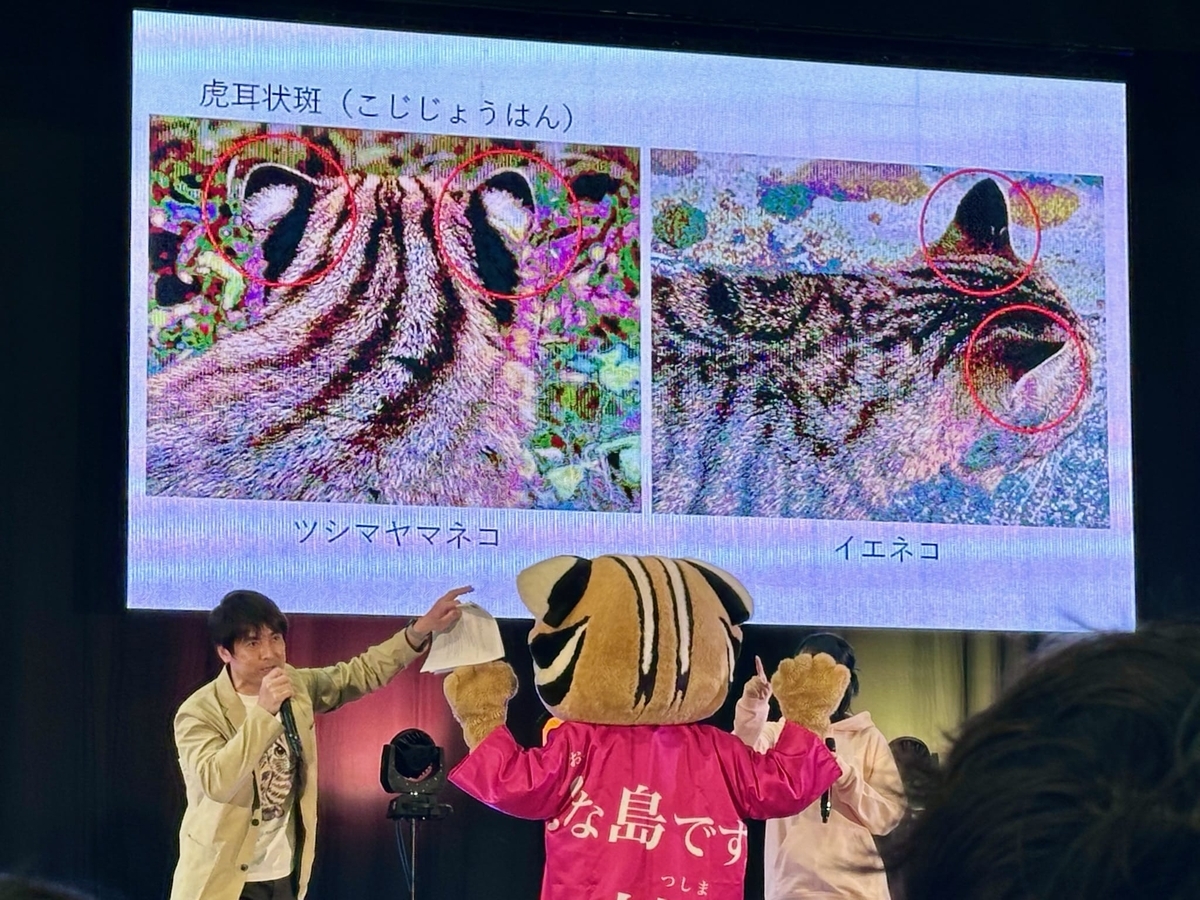 対馬の紹介2