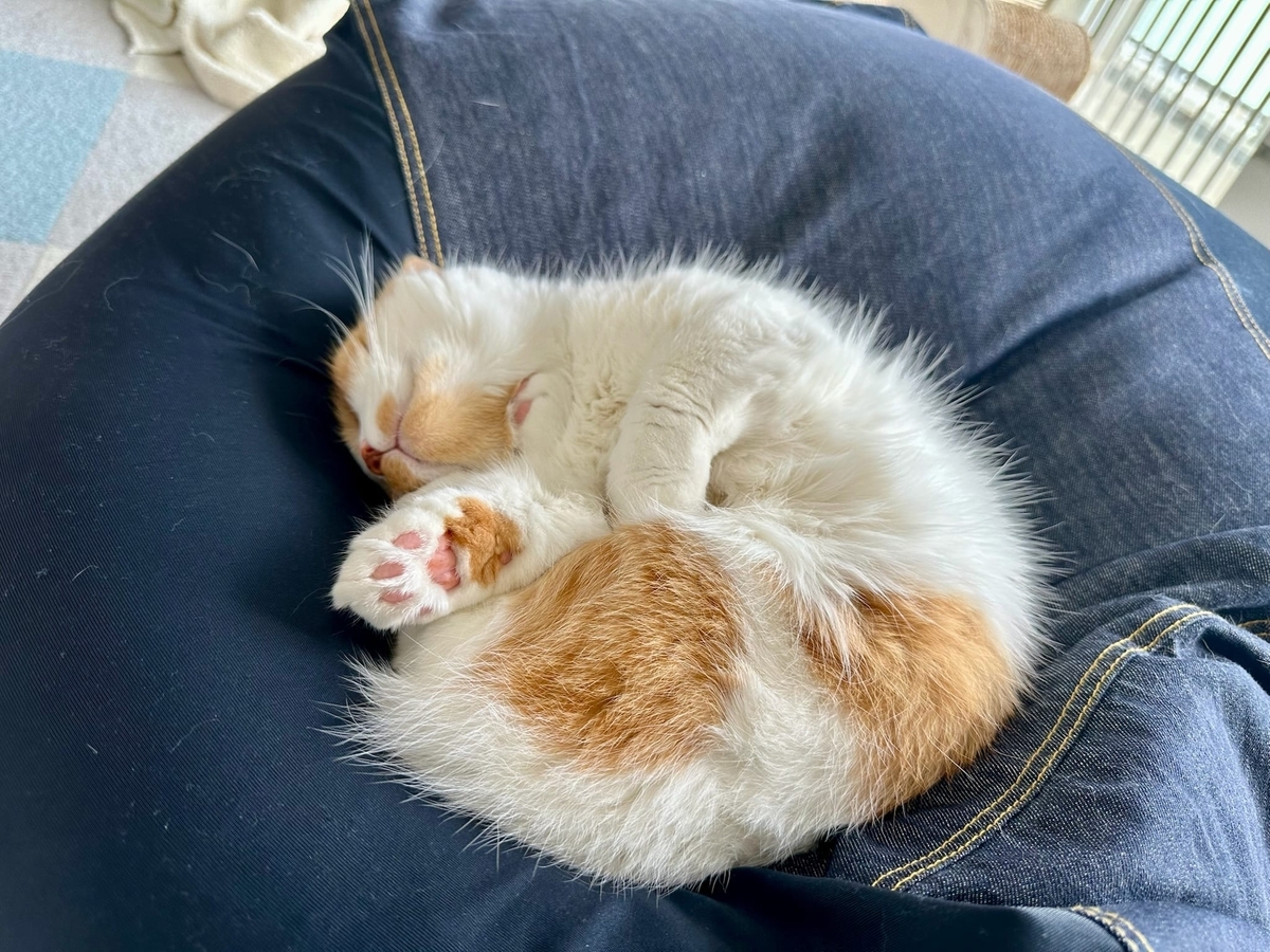 お昼寝るるちゃん1