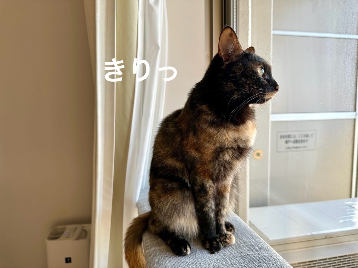 横顔美人のもなちゃん1