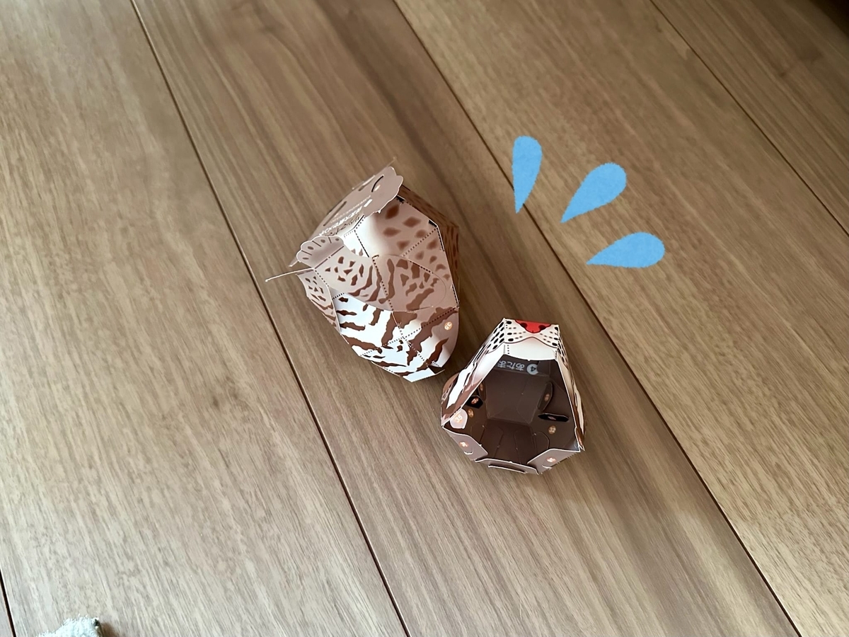 床に落とされたツシマヤマネコさん