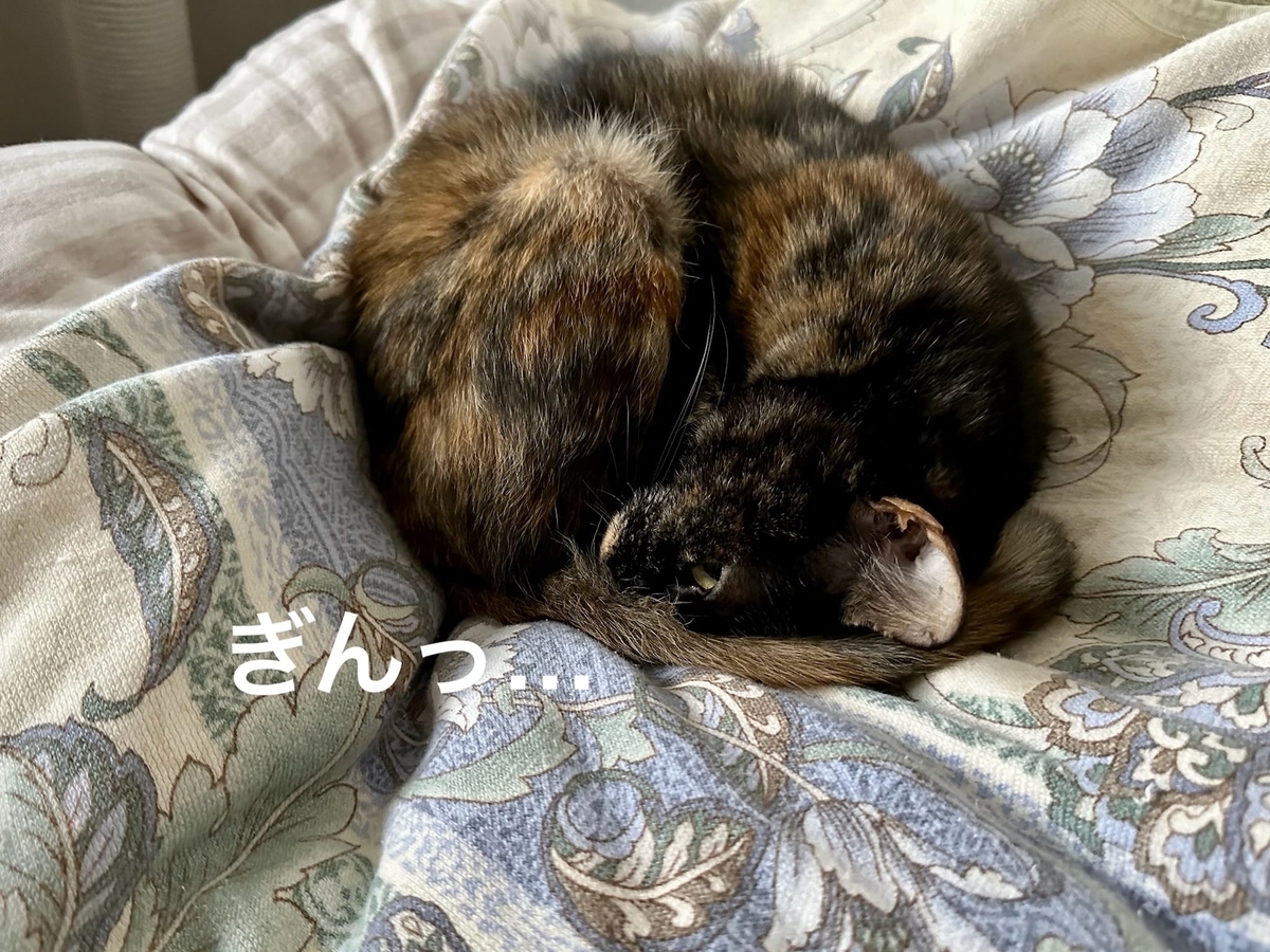 寝室でお昼寝中のるるもな4