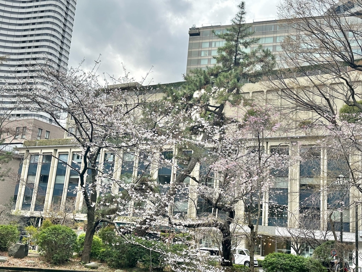 ニューオータニ付近の桜1