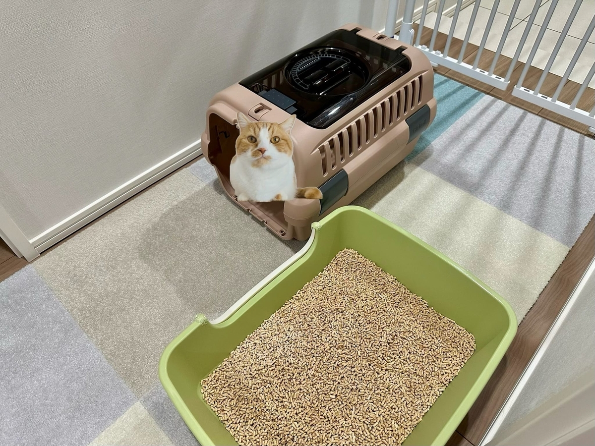粗相事件1