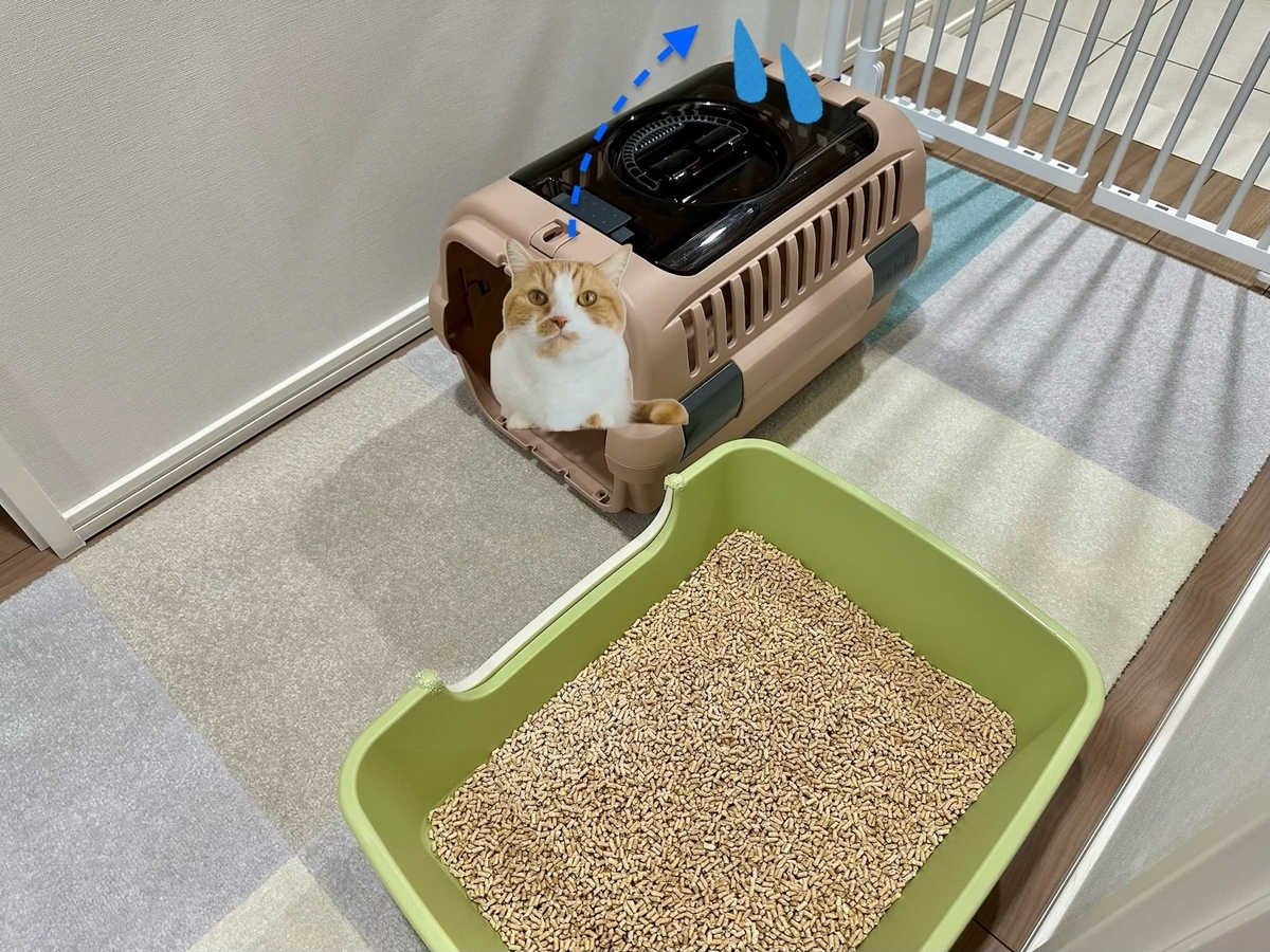 粗相事件2