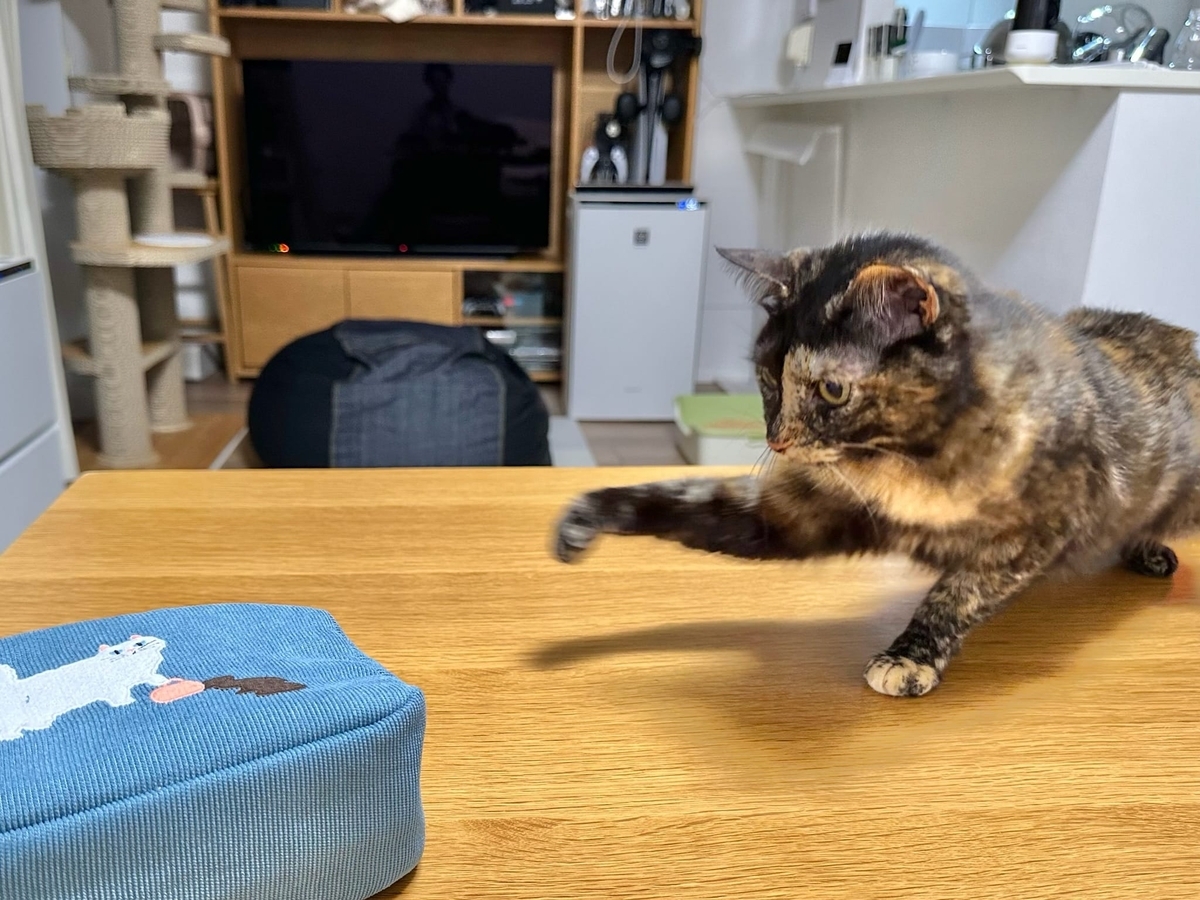 ビビりもなちゃん2