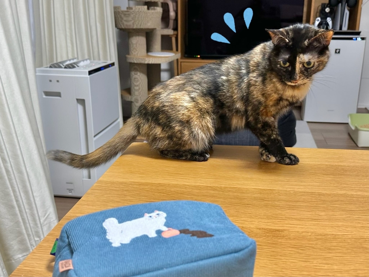 ビビりもなちゃん1