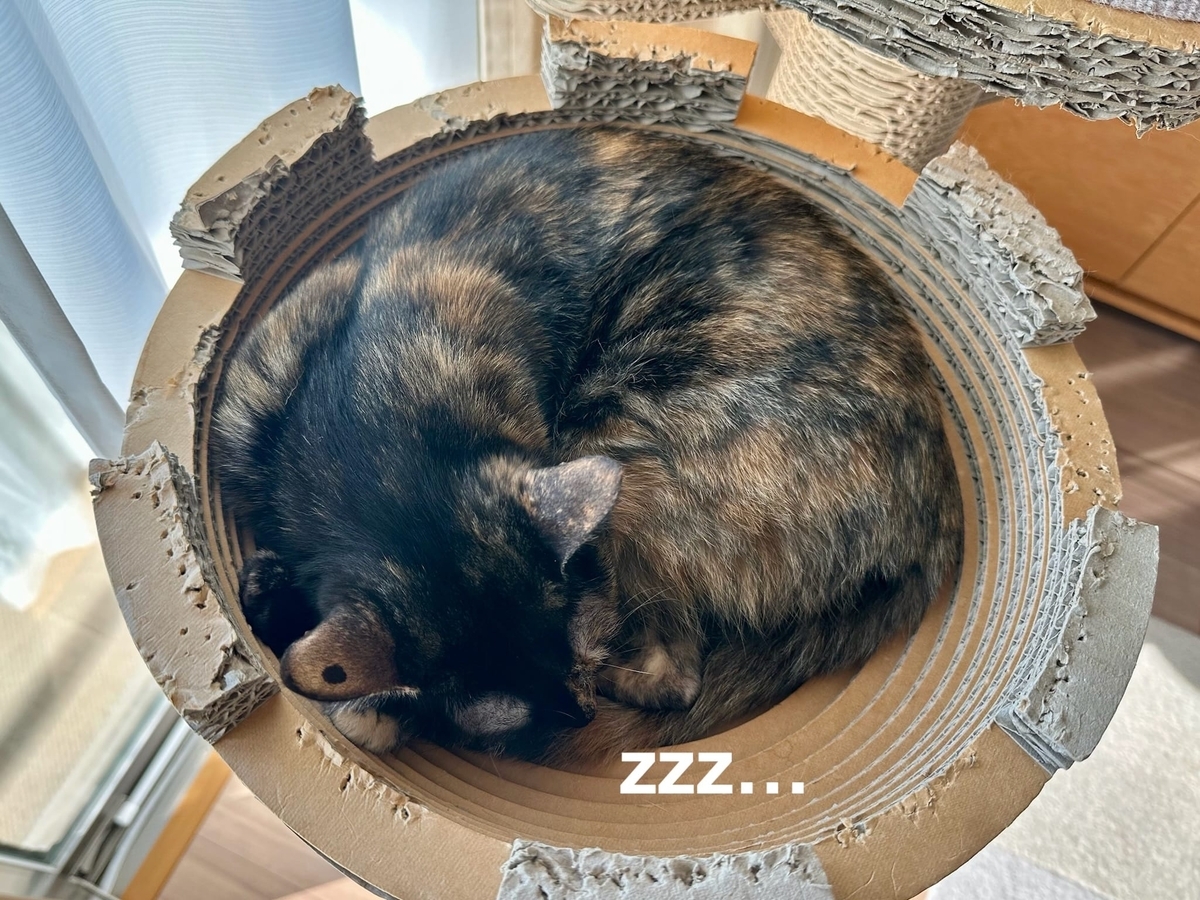 キャットタワーのるるもな3