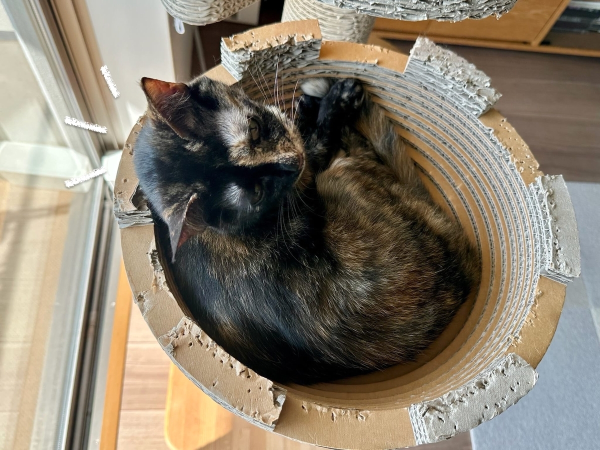 キャットタワーのるるもな2
