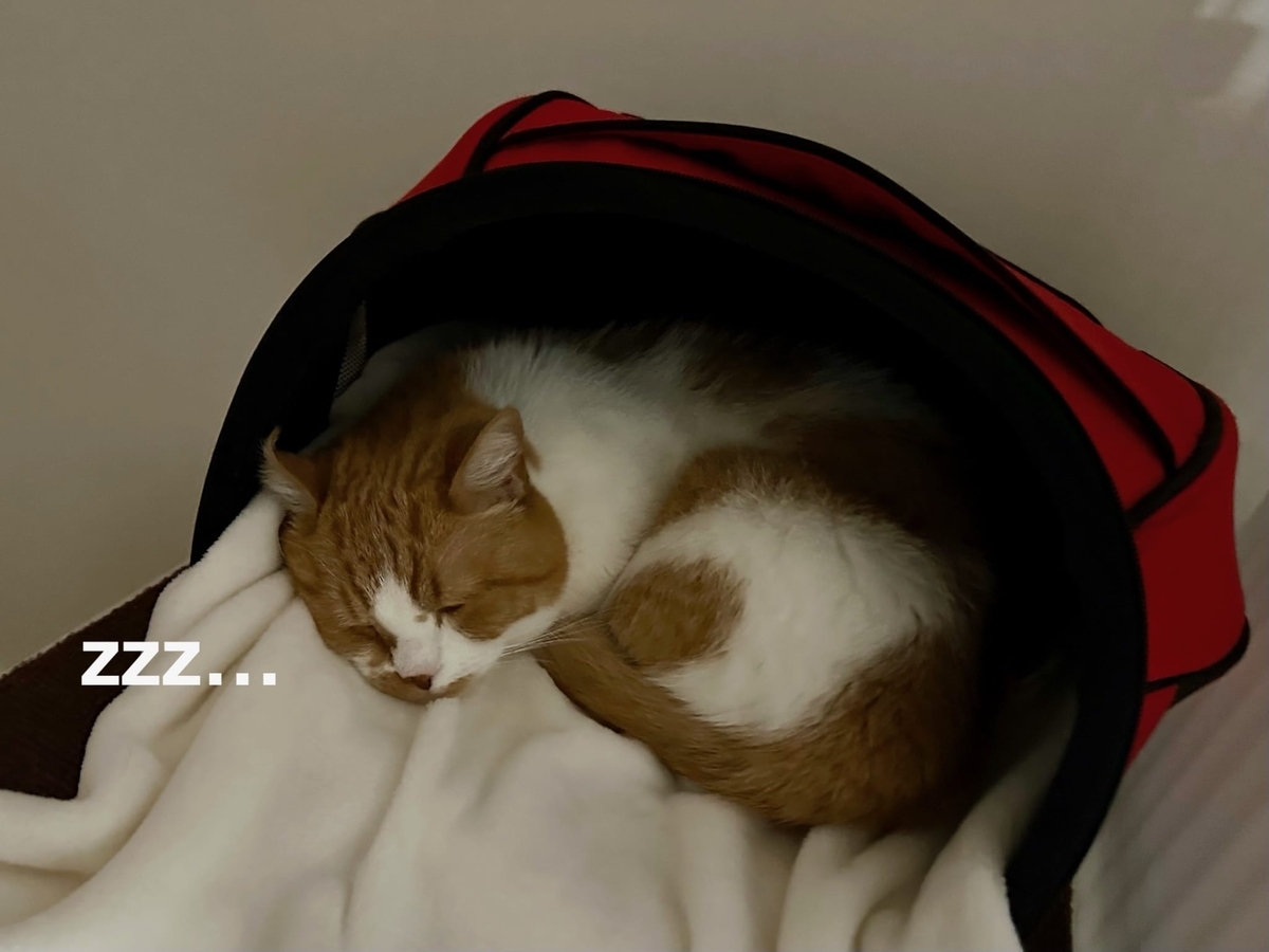 おやすみるるちゃん