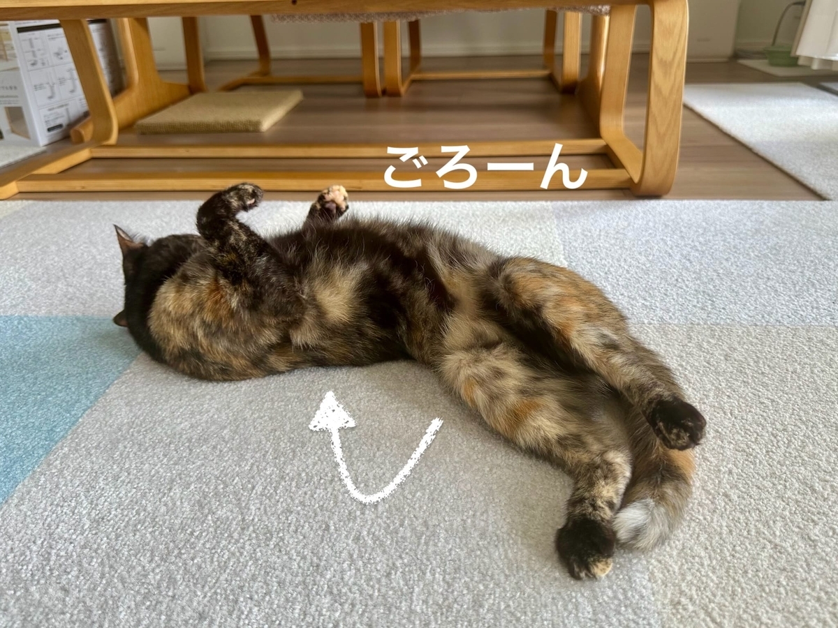 ごろごろもなちゃん3