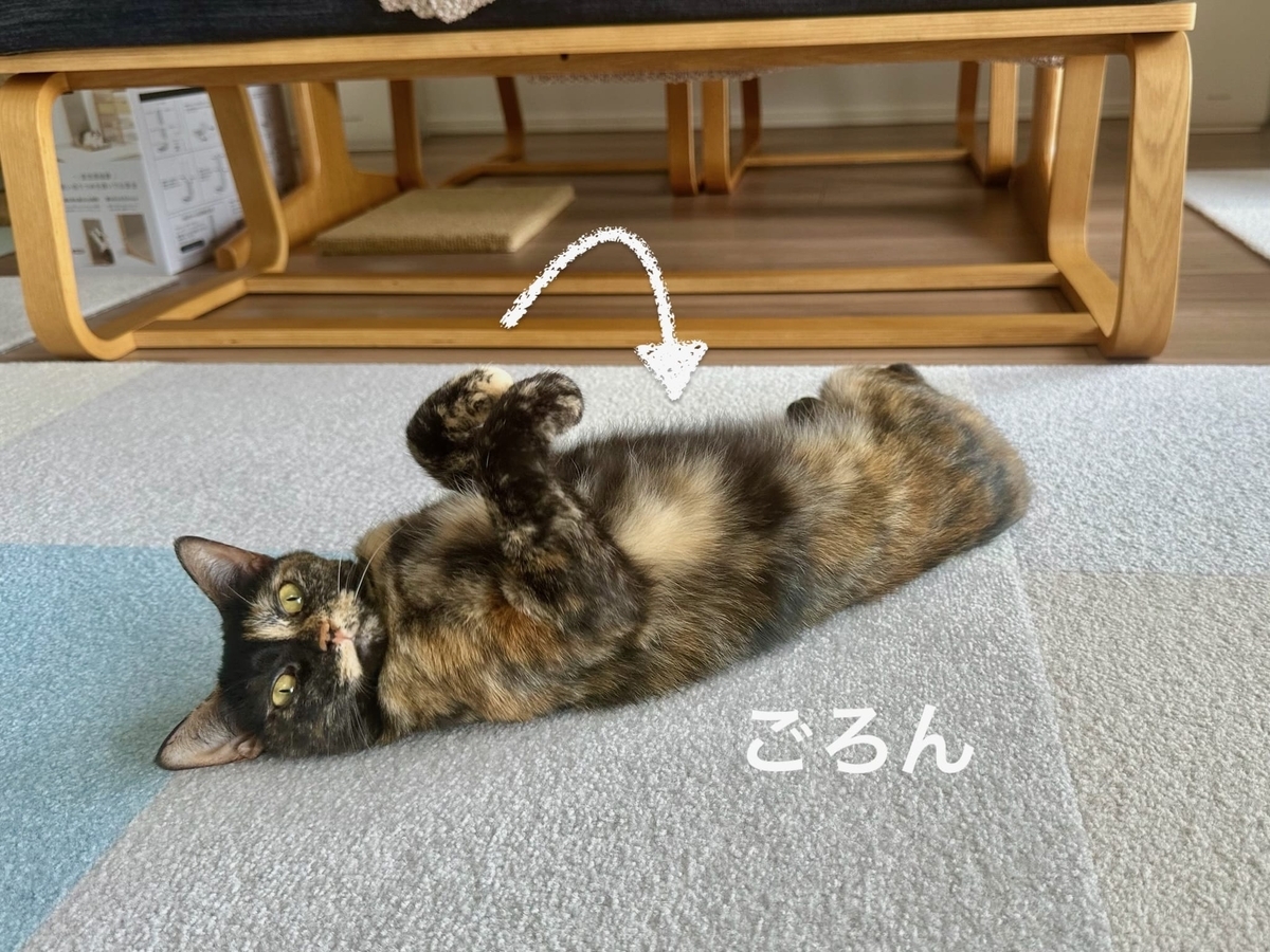 ごろごろもなちゃん2
