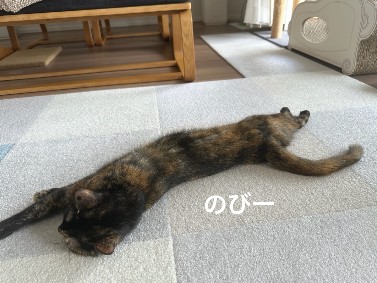 ごろごろもなちゃん1