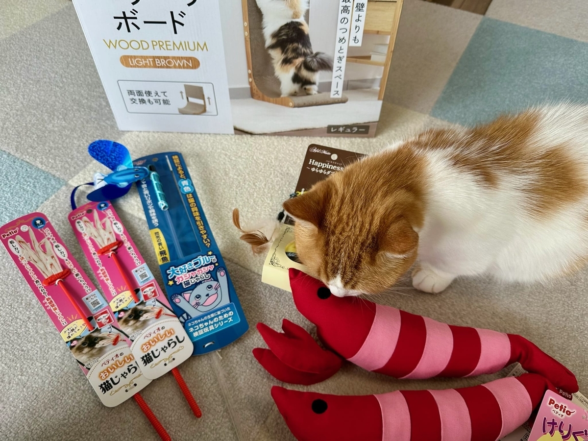 もなちゃんのお誕生日プレゼント