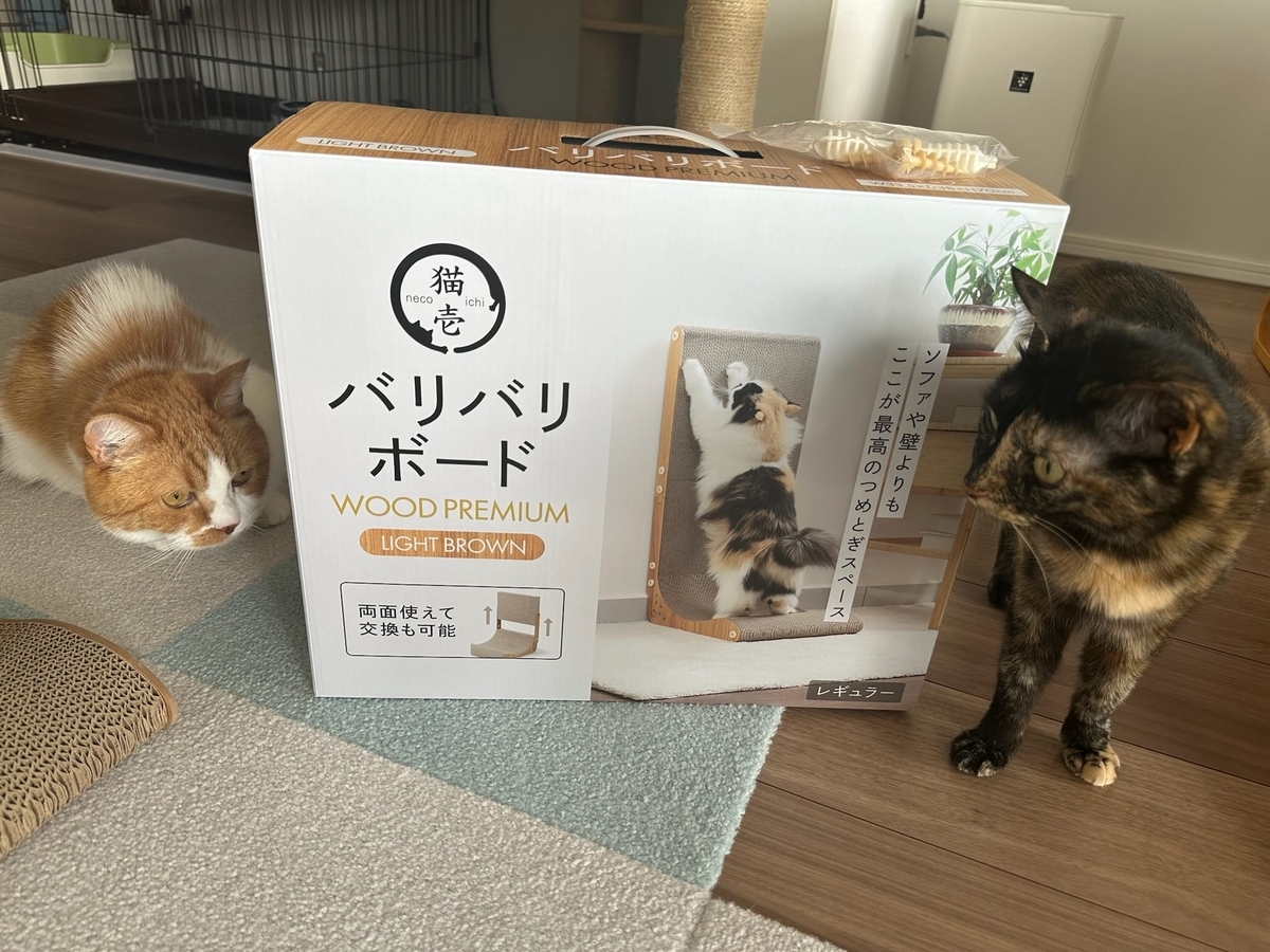 プレゼントとるるもな