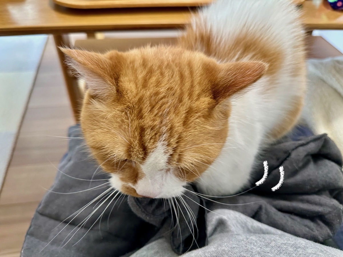 ふみふみるるちゃん2