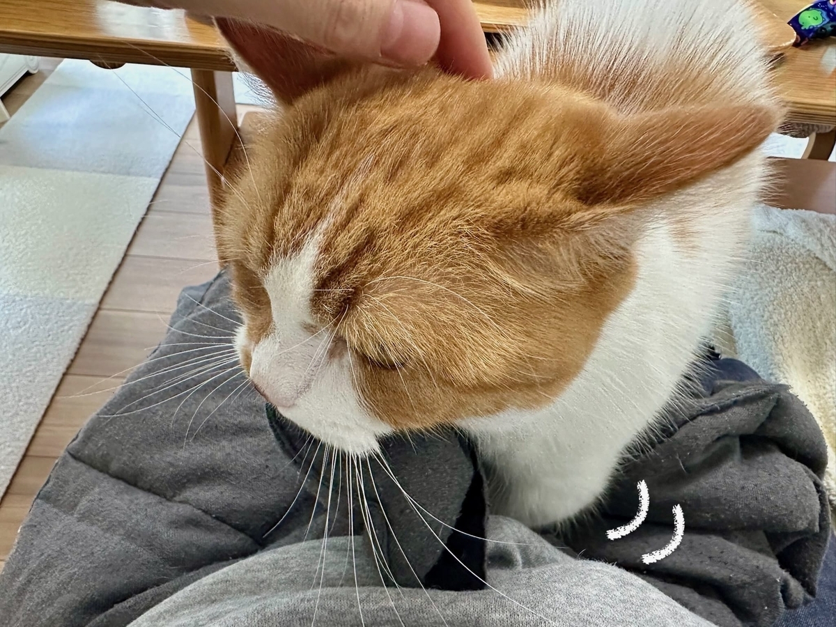 ふみふみるるちゃん3