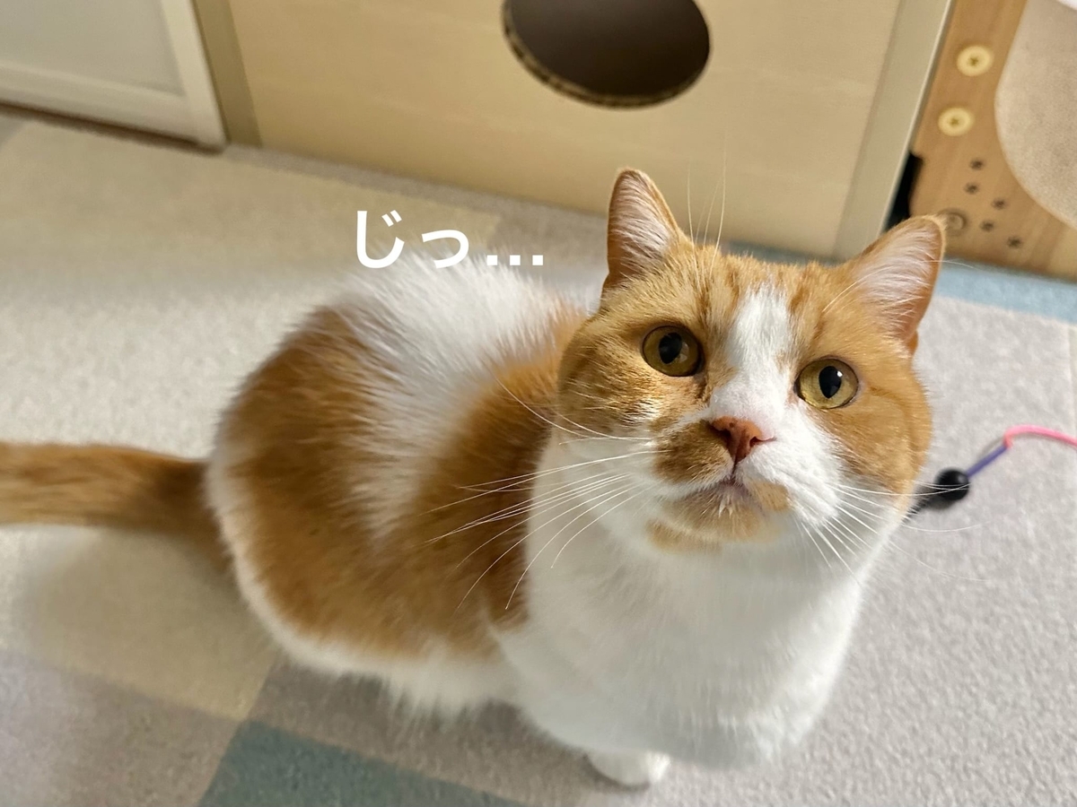 アゴにヨーグルトくっつけてるるるちゃん1