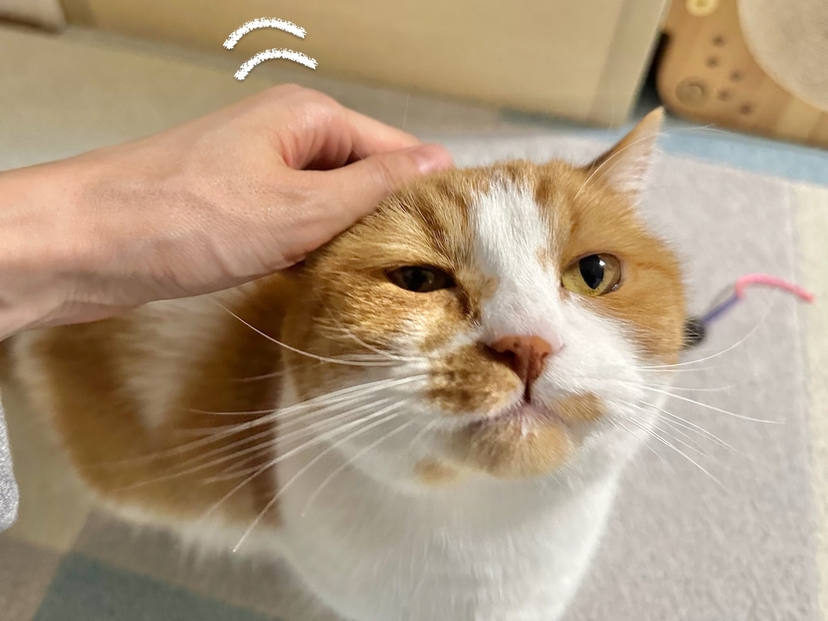 アゴにヨーグルトくっつけてるるるちゃん3