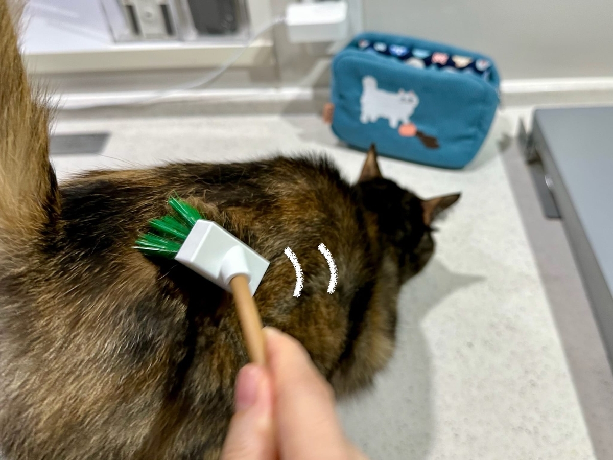 ブラシでゴシゴシ