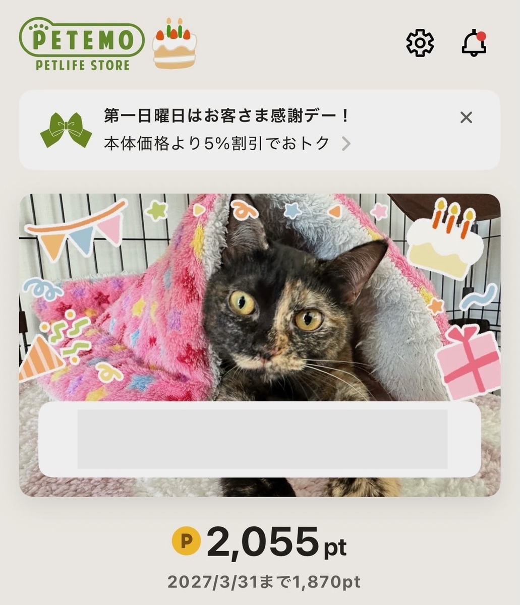 ペテモのアプリ