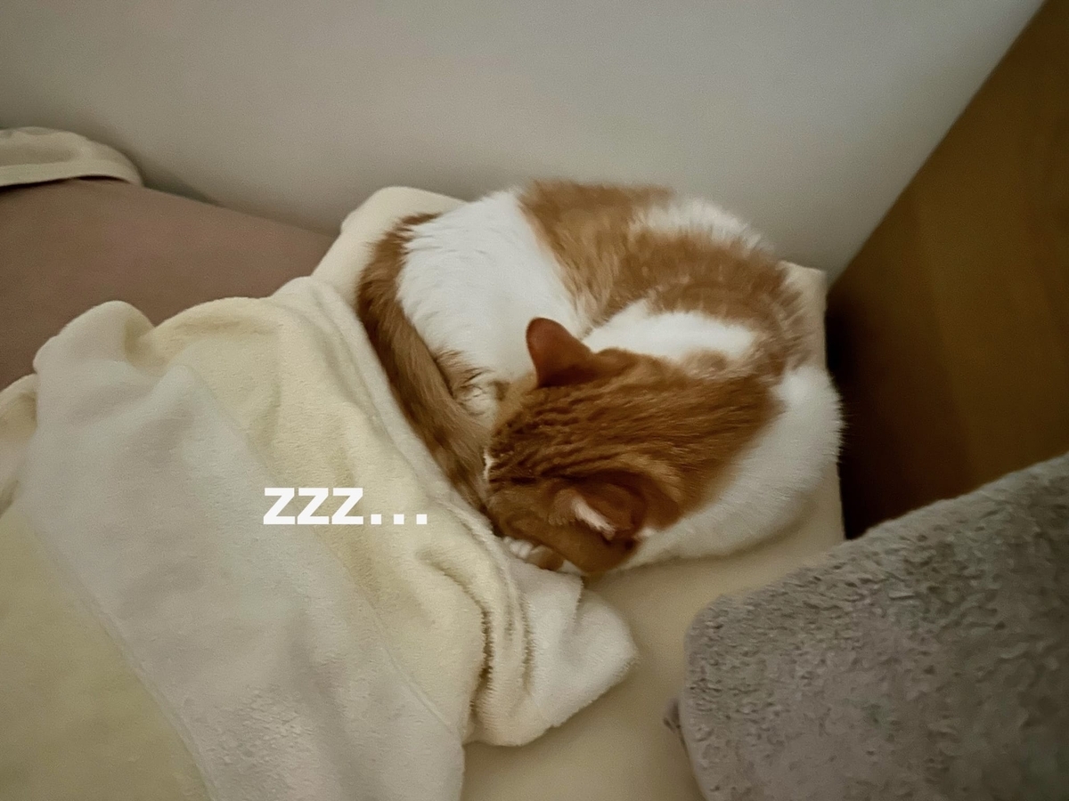 寝室でお昼寝中のるるもな2