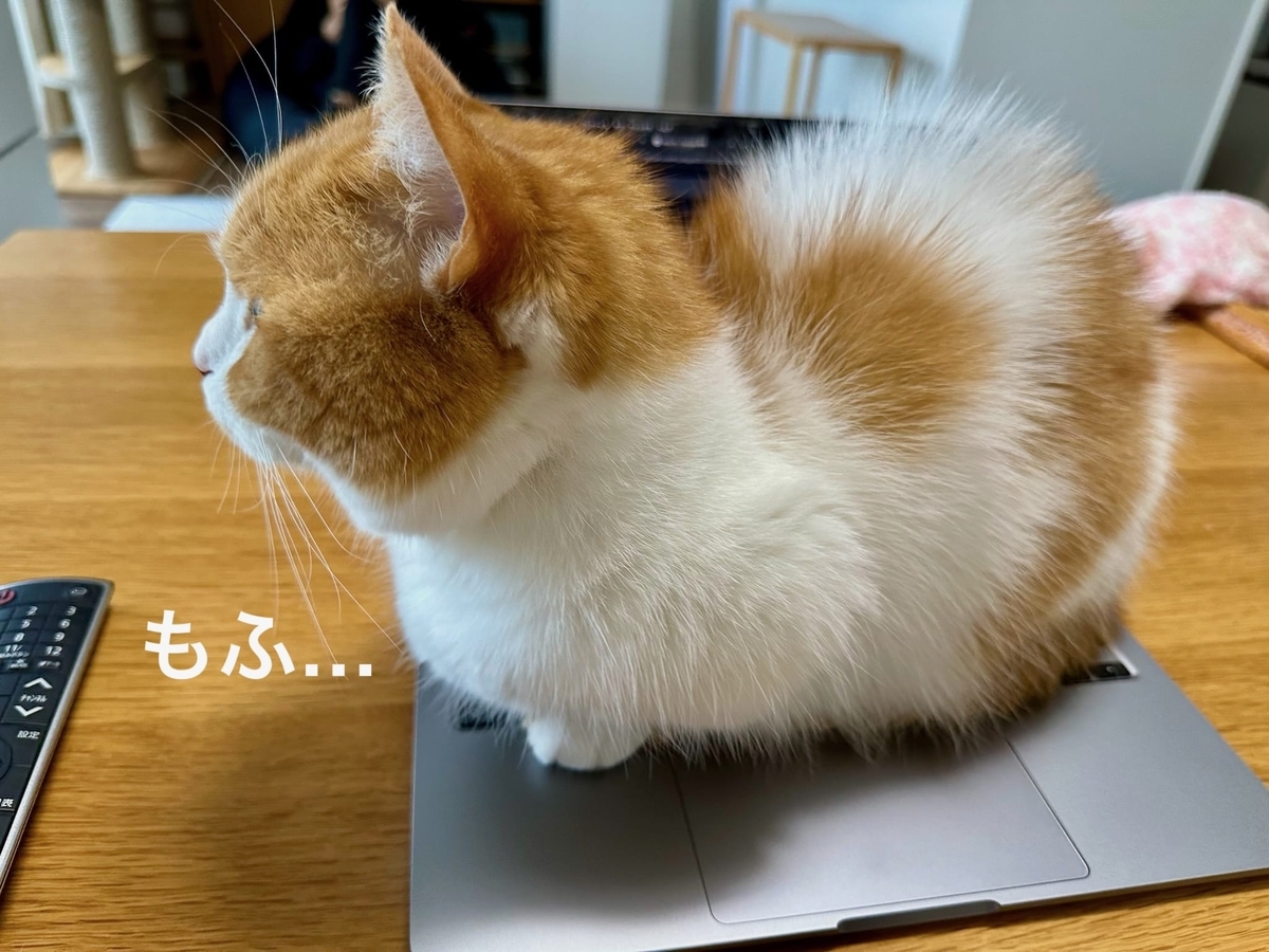 くっつき猫るるもな2