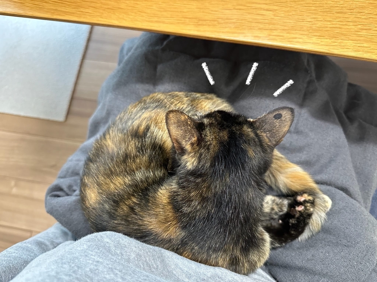 くっつき猫るるもな3