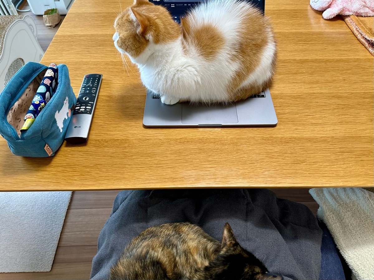 くっつき猫るるもな1